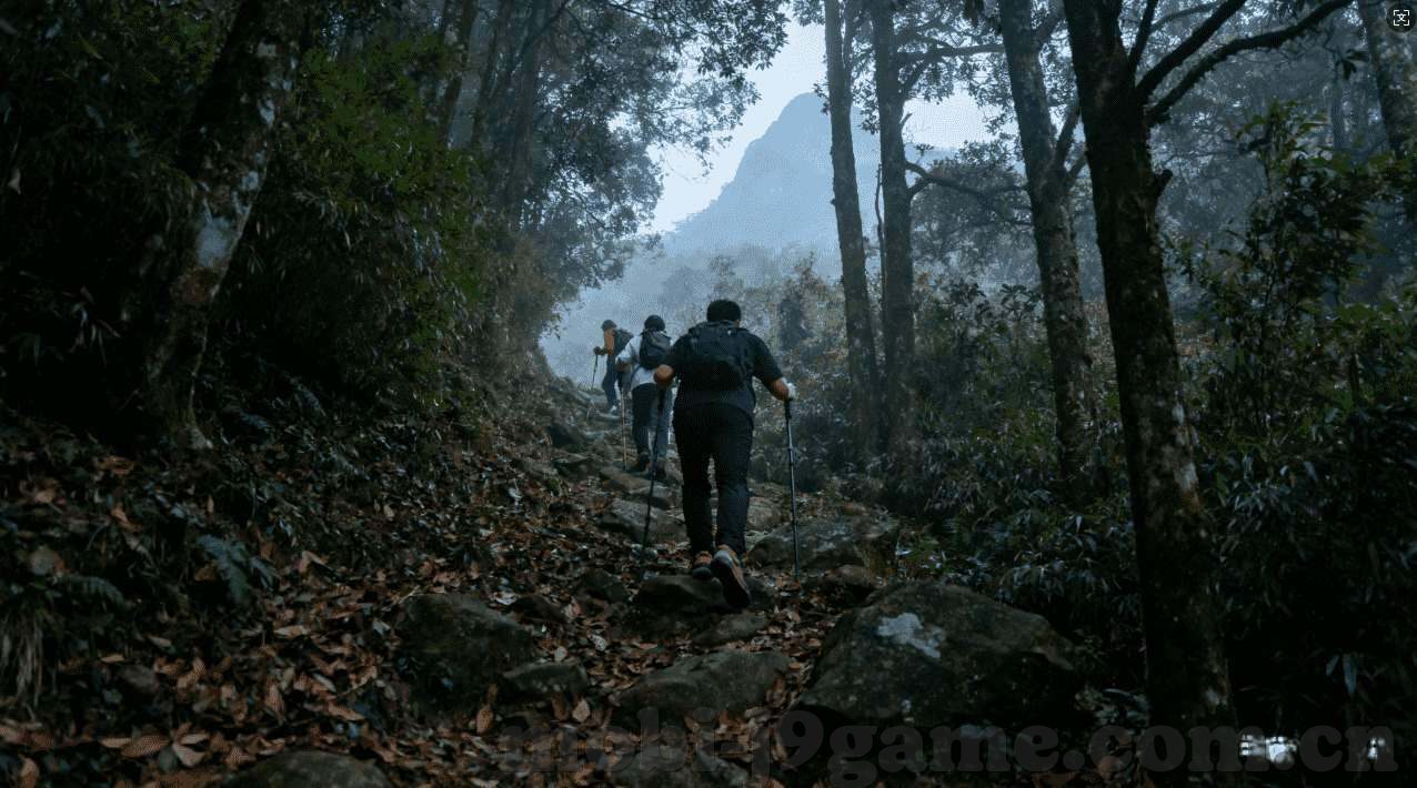 世界杯前中国-世界杯前中国，足球热浪下的期待与准备